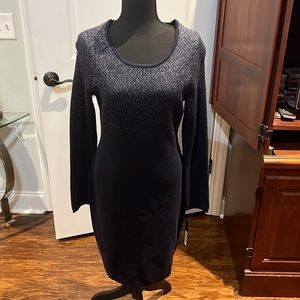 PRICE DROP!NEVER WORN Blue and silver Wool blend dress.